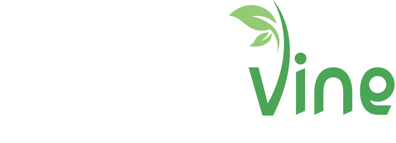 Website Design by The Graphic Vine